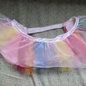 Dog Birthday Princess Rainbow Tutu